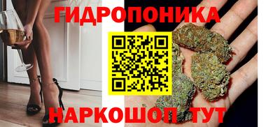 бошки Тверь