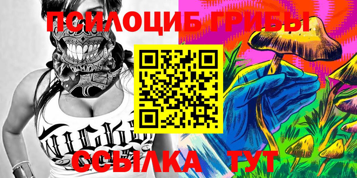 где можно купить наркотик  Галлюциногенные грибы прущие грибы  Вход с VPN  Галлюциногенные грибы прущие грибы  Знаменск 